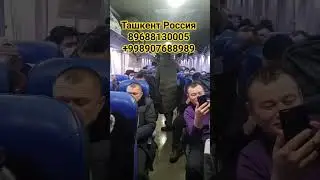 Ташкент Россия Автобус