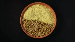 Fenugreek: A Game-Changer for Digestion, Blood Sugar, Hair & Lactation