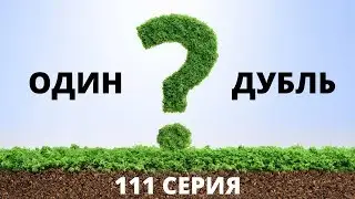 Сегодня всё пошло не так! АУДИО. Один дубль. Ответы пастыря.  111 серия.