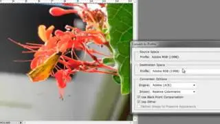 PhotoshopTutorial Color Spaces   sRGB, Adobe RGB, ProPhoto RGB and CMYK   Photoshop Tutorial