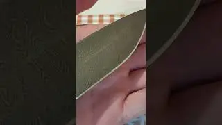 Довёл 