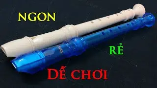 [ Giới thiệu sáo dọc ] Sáo nào NGON- BỔ - RẺ - DỄ HỌC ???