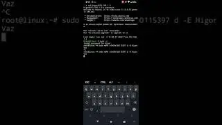 Kali Linux deauther