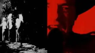 DV NIKT-SPIRIT OF THE FOREST