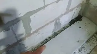 Пол в парной ч2.