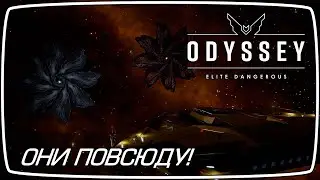 ПРОДОЛЖАЕМ ИЗУЧАТЬ ТАРГОИДОВ! ► Elite Dangerous: Odyssey [6]