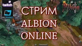 Стрим Albion Online! Холик VS Медведи