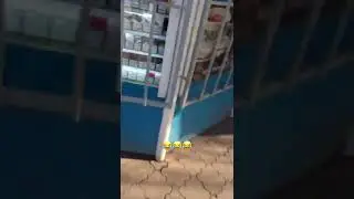 берба