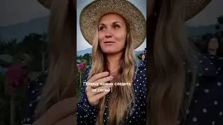 Мои близкие мысли и смыслы в тг, смотри в профиль 