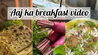 Aaj ka breakfast with fresh and healthy vegetables🤍❤️ || Trying the untried with Jash video no.5
