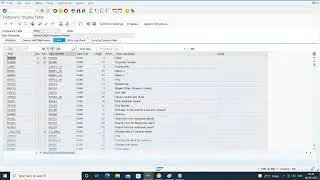 31 Custom Database Table with client dependent in SAP ABAP