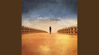 Undivided