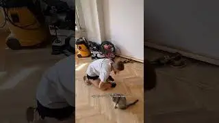 Ремонт в съемной квартире. Лето