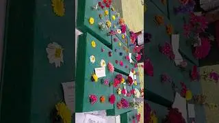 Flower Show Demo #agriculture #latest #tranding #viral #shorts #new #prayagraj #flowers #ytshorts