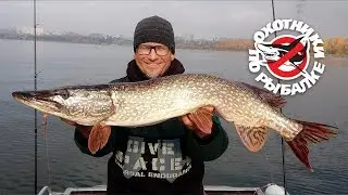 Осенний джиг на реке Самара. Рыбалка с гидом.