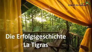 Die Erfolgsgeschichte des La Tigra Regenwaldprojekts