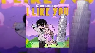 Galante "El emperador" - I Like You [Visualizer]