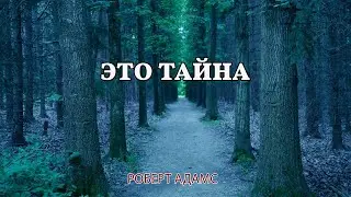 Это тайна - Роберт Адамс