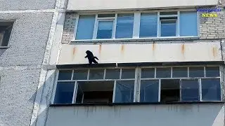 Падение с шестого этажа /Набережная 6/