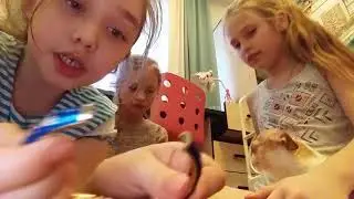 Распоковаем бумажные сюрпризы.