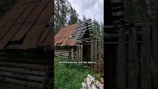 глэмпинг в сосновом лесу: что я увидел внутри?