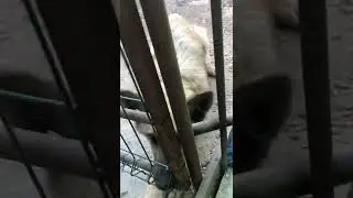 Как меня встречает Сократ