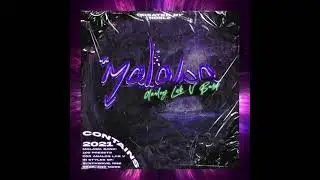 MALAWA : Analog Lab V Preset Bank [Rnb, Synthwave, Gunna, Drake, Don Toliver & More!