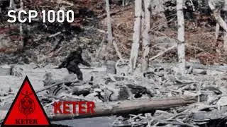 [PT-BR] SCP-1000: O primata misterioso