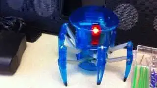 Java SE Embedded driving Hexbot Spider via Raspberry Pi