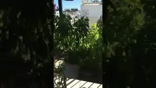 Küçük ama dev bir bahçe...üyelerimizden Hatice Yavrucu Sandıkçı, Mert ve Metenin gayretleriyle