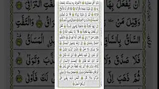 Beautiful Voice Qur'an Tilawat | Surah kiamah | Islamic Video