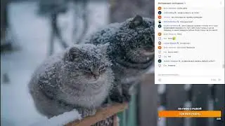 Прямая трансляция пользователя Shatrall