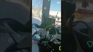 За окном -30🥶 А на окне Весна ☺
