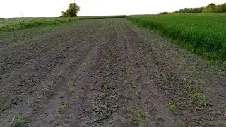 Норма высева; соя и кукуруза китайской сеялкой заря
