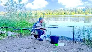 Working BREAM. Fishing for channel BREAM on a feeder in June on a large river.