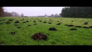 The Nits - In the Dutch Mountains, 1987 (Instrumental Cover)