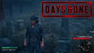 ЛАГЕРЬ, КЛАДБИЩЕ, ГНЕЗДА #15 ⚓ Days Gone