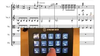 Notation Express for Dorico - Lines