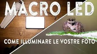 Pannelli LED per la MACROFOTOGRAFIA: come usarli e quali comprare