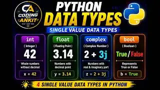 Data Types in Python Explained | Definition, Types & Examples | Python for Beginners