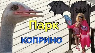 Парк отель 