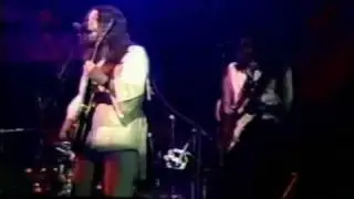Steve Hillage - Hurdy Gurdy Man