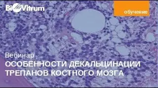 Особенности декальцинации трепанов костного мозга