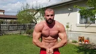 AnaLexo Muscle update