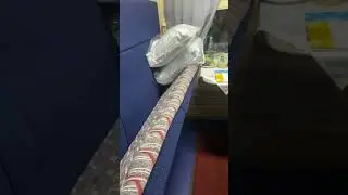 Обзор нового вагона поезда РЖД