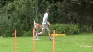 Horner Schloßparkturnier Juli 2009 - A Lauf Alina