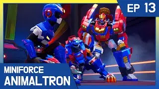 [KidsPang] Miniforce Animaltron｜🦁Ep.13 Boss King’s Evil Plan
