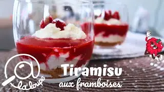 TIRAMISU FRAMBOISES SPECULOOS #237
