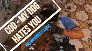 COD | Modern warefare | Dog kills and the big boy kill streaks..  My dog hates you.