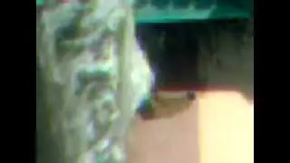 Движуха в Ногинске!